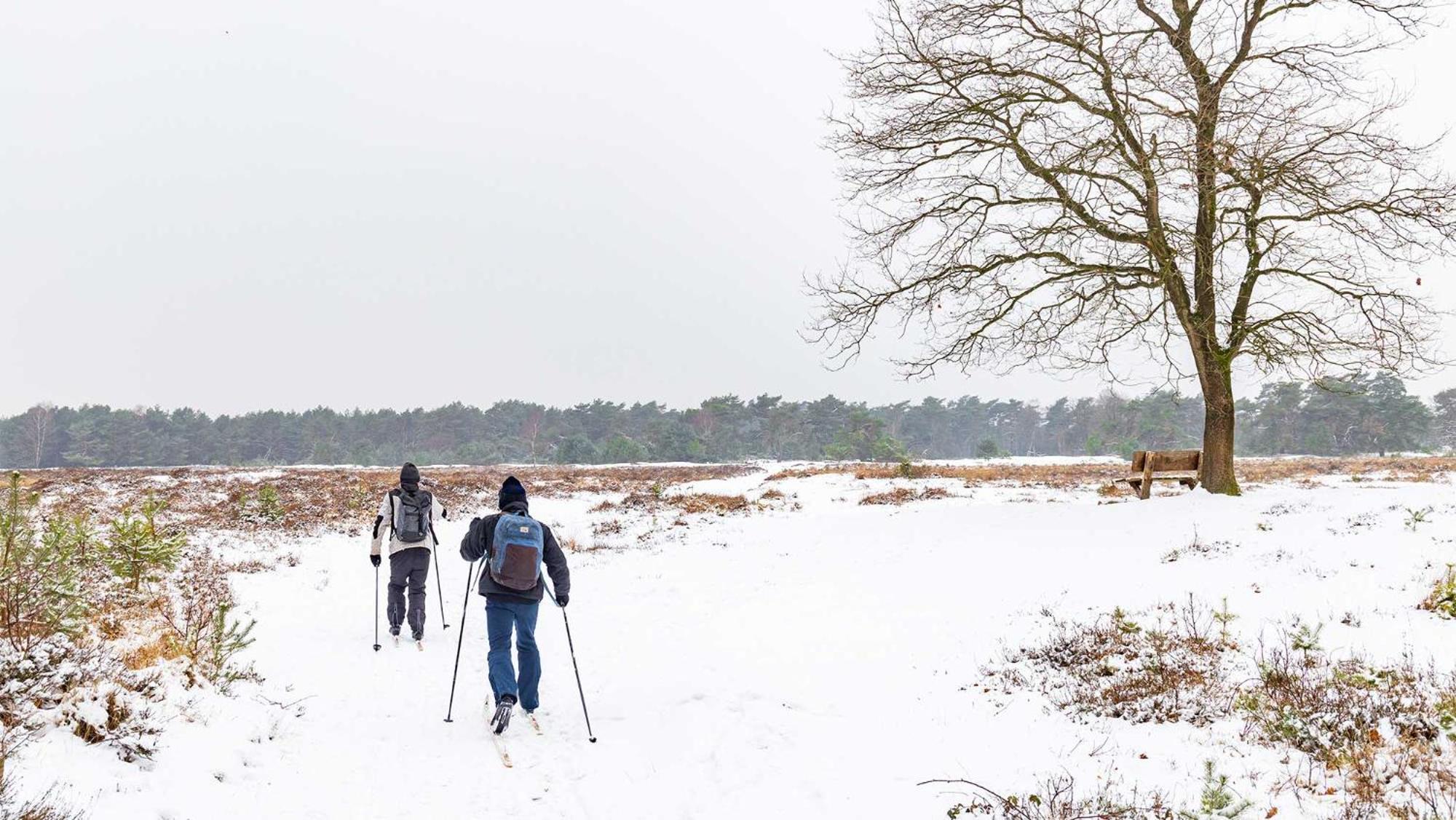 Molecaten Park Landgoed Ginkelduin Leersum エクステリア 写真